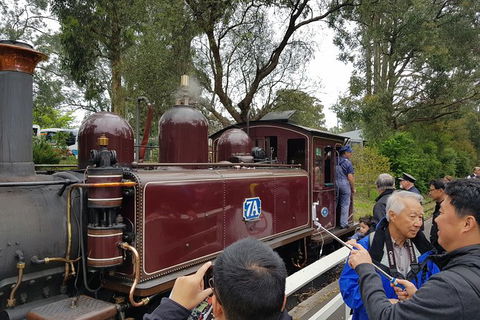 Day Tour Of Yarra Valley Puffing Billy And Rayners Orchard - Accommodation NT 28