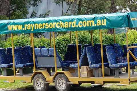 Day Tour Of Yarra Valley Puffing Billy And Rayners Orchard - Accommodation NT 33