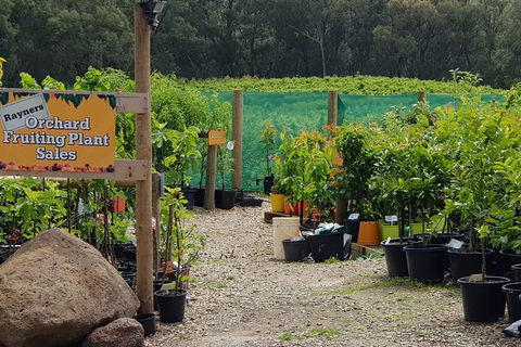 Day Tour Of Yarra Valley Puffing Billy And Rayners Orchard - Accommodation NT 22