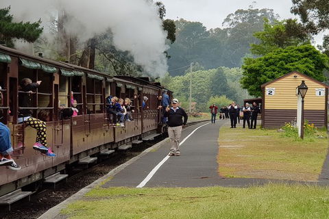 Day Tour Of Yarra Valley Puffing Billy And Rayners Orchard - Accommodation NT 0
