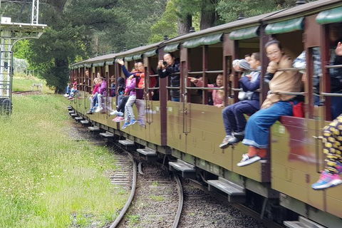 Day Tour Of Yarra Valley Puffing Billy And Rayners Orchard - Accommodation NT 13