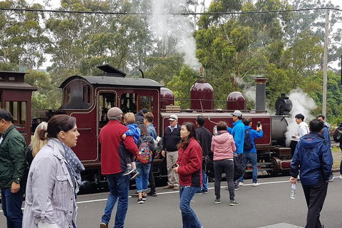 Day Tour Of Yarra Valley Puffing Billy And Rayners Orchard - Accommodation NT 4