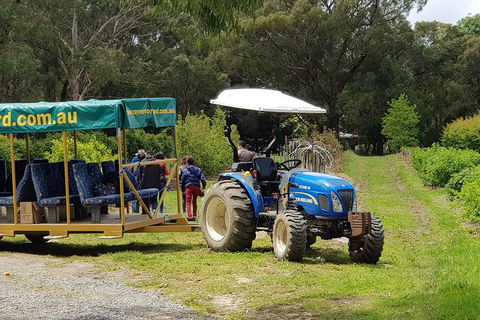 Day Tour Of Yarra Valley Puffing Billy And Rayners Orchard - Accommodation NT 25