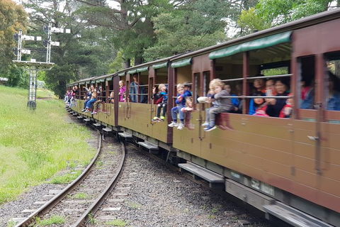 Day Tour Of Yarra Valley Puffing Billy And Rayners Orchard - Accommodation NT 24