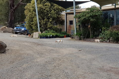 Day Tour Of Yarra Valley Puffing Billy And Rayners Orchard - Accommodation NT 26