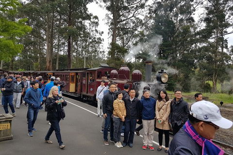 Day Tour Of Yarra Valley Puffing Billy And Rayners Orchard - Accommodation NT 9