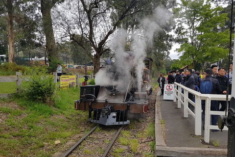 Day Tour Of Yarra Valley Puffing Billy And Rayners Orchard - Accommodation NT 43