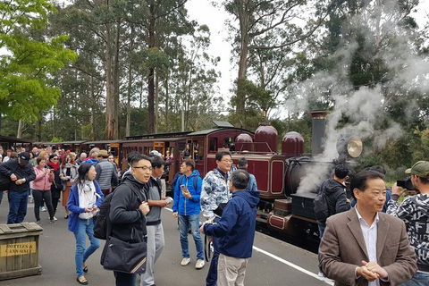 Day Tour Of Yarra Valley Puffing Billy And Rayners Orchard - Accommodation NT 12
