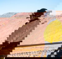 Purnululu Scenic with Argyle Diamond Mine Ground Tour - Accommodation NT