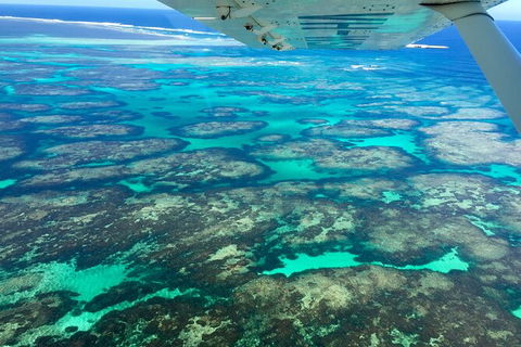 Shipwreck Special Full Day Tour Of The Abrolhos Islands - Accommodation NT 5