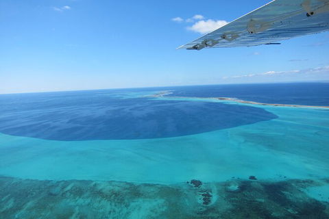 Shipwreck Special Full Day Tour Of The Abrolhos Islands - Accommodation NT 2