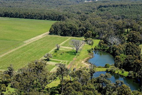 Half Day Wine & Food Tour - Accommodation NT 6