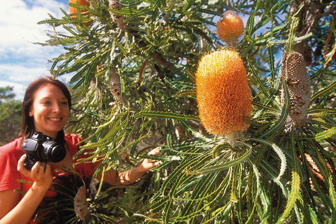 Best Of Perth Wildflower Season Day Trip - Accommodation NT 0