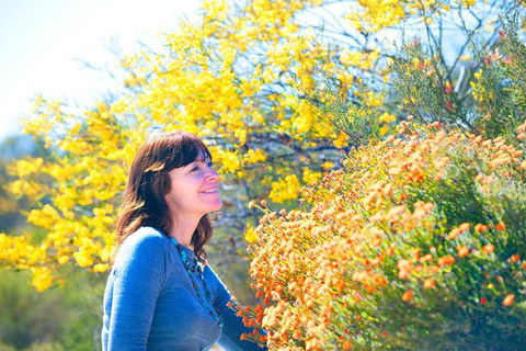Best Of Perth Wildflower Season Day Trip - Accommodation NT 3