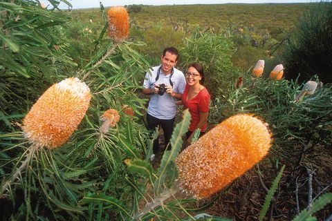 Best Of Perth Wildflower Season Day Trip - Accommodation NT 6