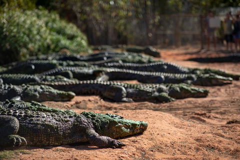 Malcolm Douglas Crocodile Park - Accommodation NT 8