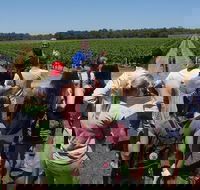 Margaret River Tour The Full Bottle - Accommodation NT