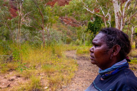 Overnight At Wilderness Lodge: Bungles, Cathedral + Echidna Chasm - Accommodation NT 6
