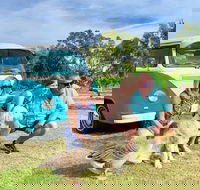 Half Day VW Kombi Food and Wine tour - Accommodation NT