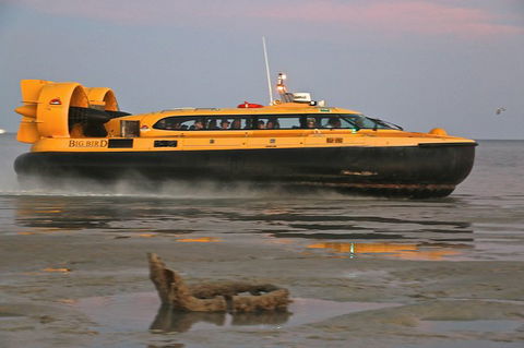 Prehistoric Cocktail Breakfast Hovercraft Tour - Accommodation NT 9