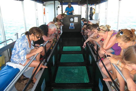 Coral Bay 1-Hour Coral Viewing - Accommodation NT 3