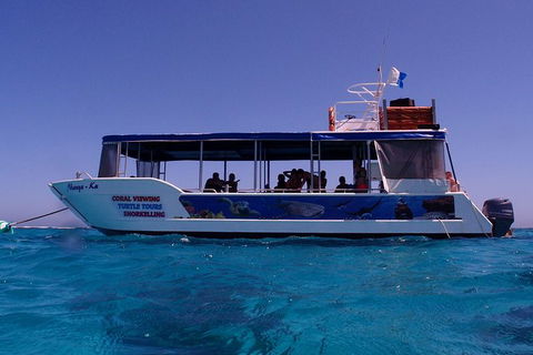 Coral Bay 1-Hour Coral Viewing - Accommodation NT 1