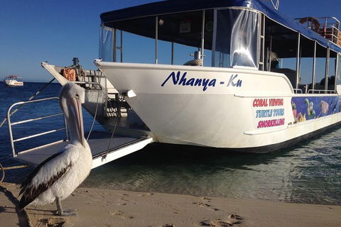 Coral Bay 1-Hour Coral Viewing - Accommodation NT 0