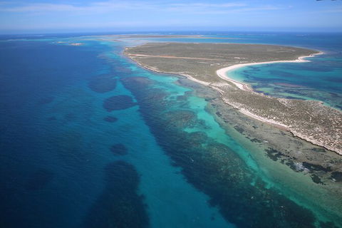 Pink Lake + Abrolhos Islands Scenic Flight - Accommodation NT 4