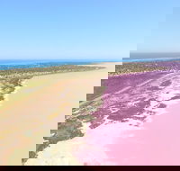 Pink Lake  Abrolhos Islands Scenic Flight - Accommodation NT