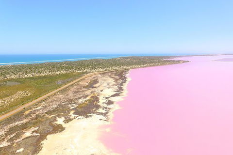 Pink Lake + Abrolhos Islands Scenic Flight - Accommodation NT 0