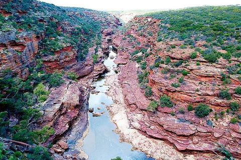 Pink Lake - Hutt Lagoon Kalbarri - Accommodation NT 3