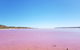 Pink Lake - Hutt Lagoon Kalbarri - thumb 4