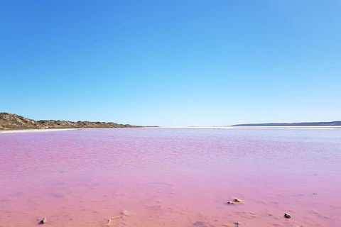 Pink Lake - Hutt Lagoon Kalbarri - Accommodation NT 4