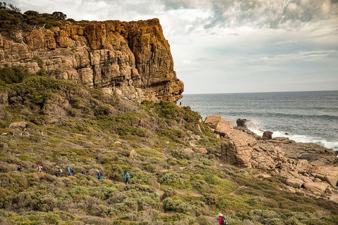 Guided Walks On The Cape To Cape - Moses Rock To Ellenbrook - Accommodation NT 5