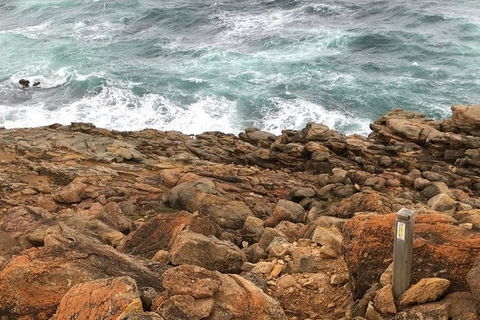 Guided Walks On The Cape To Cape - Moses Rock To Ellenbrook - Accommodation NT 1
