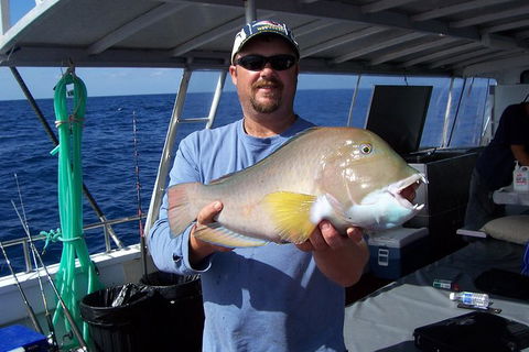 Abrolhos Islands 4 Day Fishing Charter - Accommodation NT 5