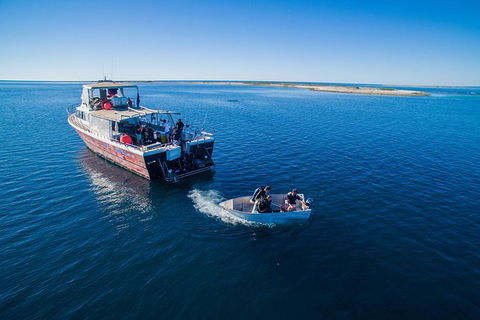 Abrolhos Islands 4 Day Fishing Charter - Accommodation NT 0