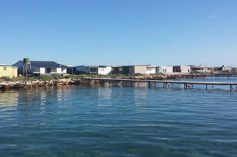Abrolhos Islands 4 Day Fishing Charter - Accommodation NT 9