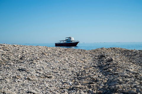Abrolhos Islands 4 Day Fishing Charter - Accommodation NT 1