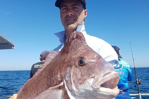 Abrolhos Islands 4 Day Fishing Charter - Accommodation NT 8