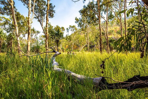 Secret Locations Tour - Accommodation NT 4