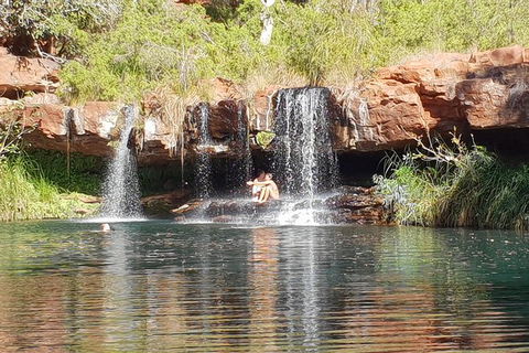 9 Day Perth To Broome Adventure - Accommodation NT 3
