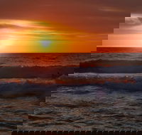 Australian animals Seascape and Sunset Photography Tour - Accommodation NT