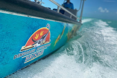 Scenic And Prehistoric Boat Tour - Accommodation NT 22