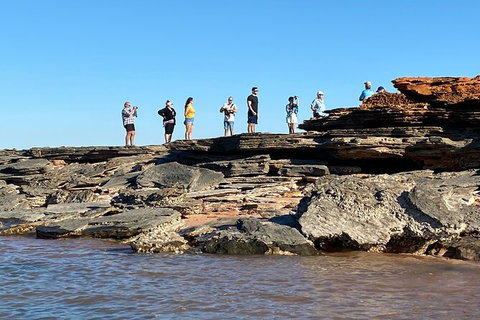 Scenic And Prehistoric Boat Tour - Accommodation NT 18