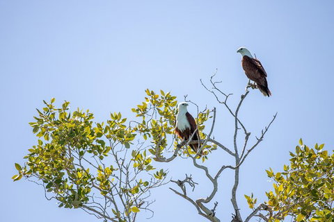 Scenic And Prehistoric Boat Tour - Accommodation NT 6