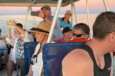 Scenic And Prehistoric Boat Tour - Accommodation NT 20