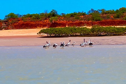 Scenic And Prehistoric Boat Tour - Accommodation NT 26