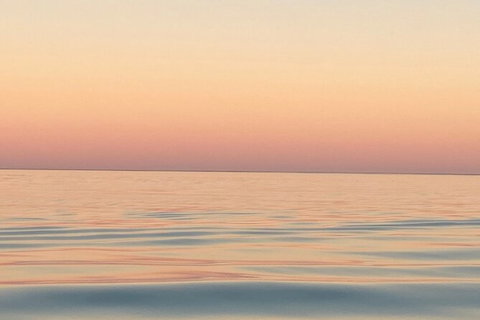 Scenic And Prehistoric Boat Tour - Accommodation NT 11