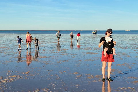 Scenic And Prehistoric Boat Tour - Accommodation NT 10